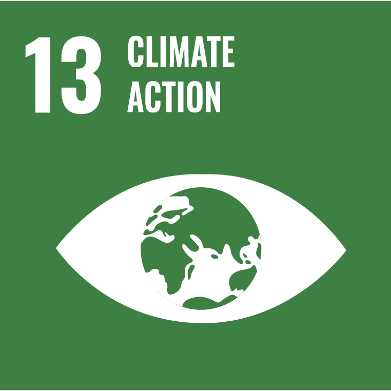 esg-goal13-climate-action.png