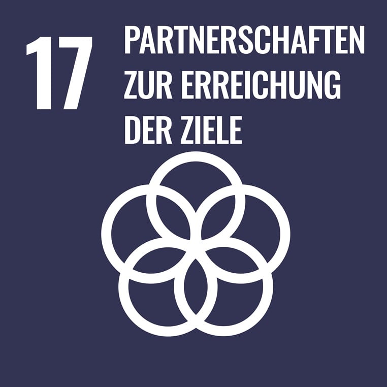 partnerschaften-zur-erreichung-der-ziele.jpg